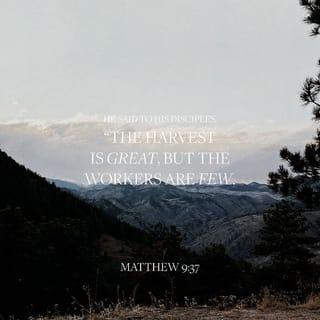 Matthew 9:36-38 - As he saw the crowds, his heart was filled with pity for them, because they were worried and helpless, like sheep without a shepherd. So he said to his disciples, “The harvest is large, but there are few workers to gather it in. Pray to the owner of the harvest that he will send out workers to gather in his harvest.”