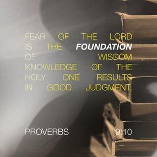 Proverbs 9:10 - The fear of the LORD is the beginning of wisdom,
and the knowledge of the Holy One is insight.