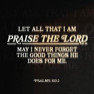 Psalms 103:1-2 - Let my whole being bless the LORD!
Let everything inside me bless his holy name!
Let my whole being bless the LORD
and never forget all his good deeds