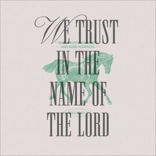 Psalms 20:7 - Some trust in chariots, and some in horses,
but we trust in the name of the LORD our God.