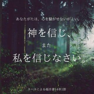 ヨハネによる福音書 14:1-7 - 「あなたがたは、心を騒がせないがよい。神を信じ、またわたしを信じなさい。 わたしの父の家には、すまいがたくさんある。もしなかったならば、わたしはそう言っておいたであろう。あなたがたのために、場所を用意しに行くのだから。 そして、行って、場所の用意ができたならば、またきて、あなたがたをわたしのところに迎えよう。わたしのおる所にあなたがたもおらせるためである。 わたしがどこへ行くのか、その道はあなたがたにわかっている」。 トマスはイエスに言った、「主よ、どこへおいでになるのか、わたしたちにはわかりません。どうしてその道がわかるでしょう」。 イエスは彼に言われた、「わたしは道であり、真理であり、命である。だれでもわたしによらないでは、父のみもとに行くことはできない。 もしあなたがたがわたしを知っていたならば、わたしの父をも知ったであろう。しかし、今は父を知っており、またすでに父を見たのである」。