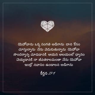 కీర్తనల గ్రంథము 27:4 - యెహోవా నాకు అనుగ్రహించాలని నేను ఆయనను అడిగేది ఒకే ఒకటి ఉంది.
నేను అడిగేది ఇదే:
“నా జీవిత కాలం అంతా నన్ను యెహోవా ఆలయంలో కూర్చుండనిచ్చుట.
ఆయన రాజ భవనాన్ని నన్ను సందర్శించనిచ్చుట.
యెహోవా సౌందర్యాన్ని నన్ను చూడనిమ్ము.”