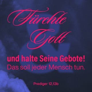 Prediger 12:13-14 - Zu guter Letzt lasst uns hören, welche Schlussfolgerung sich aus all dem ergibt: Begegne Gott mit Ehrfurcht und halte seine Gebote! Das gilt für jeden Menschen. Denn Gott wird Gericht halten über alles, was wir tun – sei es gut oder böse –, auch wenn es jetzt noch verborgen ist.