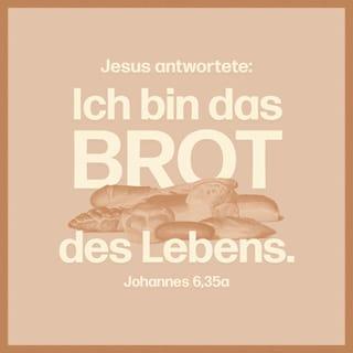 Johannes 6:35 - »Ich bin das Brot des Lebens«, sagte Jesus zu ihnen. »Wer zu mir kommt, wird niemals wieder hungrig sein, und wer an mich glaubt, wird nie wieder Durst haben.