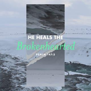 Tehillim 147:3 - He is the Rofeh (healer) of the Shevurei-lev (broken in heart), binds up their wounds.