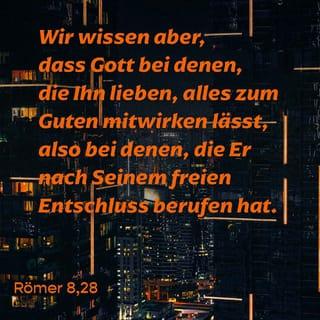 Römer 8:28 HFA