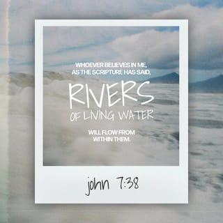 John 7:37-38 - On the last day, the climax of the festival, Jesus stood and shouted to the crowds, “Anyone who is thirsty may come to me! Anyone who believes in me may come and drink! For the Scriptures declare, ‘Rivers of living water will flow from his heart.’”