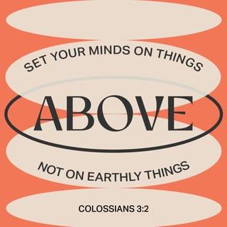 Colossians 3:1-2 - Since you have been raised to new life with Christ, set your sights on the realities of heaven, where Christ sits in the place of honor at God’s right hand. Think about the things of heaven, not the things of earth.