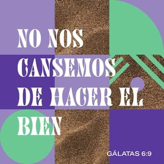Gálatas 6:9 - Así que no debemos cansarnos de hacer el bien; porque si no nos desanimamos, a su debido tiempo cosecharemos.