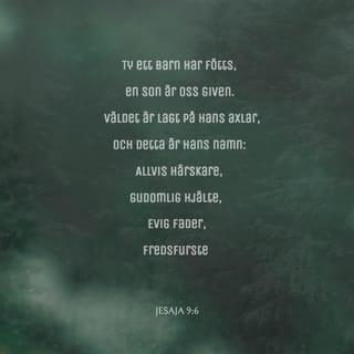 Jesaja 9:6 B2000