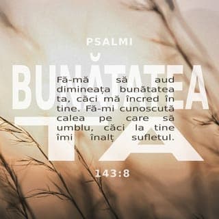 Psalmul 143:7-8 - Grăbește de m-ascultă, Doamne!
Mi se topește duhul:
nu-mi ascunde Fața Ta!
Căci aș ajunge atunci ca cei ce se coboară în groapă.
Fă-mă să aud dis-de-dimineață bunătatea Ta,
căci mă încred în Tine.
Arată-mi calea pe care trebuie să umblu,
căci la Tine îmi înalț sufletul.