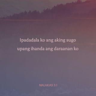 Malachi 3:1-4 - “I will send my messenger, who will prepare the way before me. Then suddenly the Lord you are seeking will come to his temple; the messenger of the covenant, whom you desire, will come,” says the LORD Almighty.
But who can endure the day of his coming? Who can stand when he appears? For he will be like a refiner’s fire or a launderer’s soap. He will sit as a refiner and purifier of silver; he will purify the Levites and refine them like gold and silver. Then the LORD will have men who will bring offerings in righteousness, and the offerings of Judah and Jerusalem will be acceptable to the LORD, as in days gone by, as in former years.