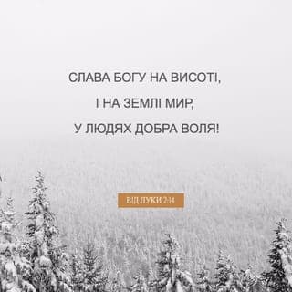 ЛУКИ 2:13-20 - І раптом з’явилася біля ангела сила‑силенна небесного війська; вони хвалили Бога і проголошували:
Слава Богові на висоті, а на землі – мир в людях доброї волі!
І сталося, що коли ангели відійшли від них на небо, пастухи почали говорити один одному: Ходімо у Вифлеєм і погляньмо, що там сталося, про що Господь сповістив нам!
Поспішаючи, вони прийшли та знайшли Марію, Йосипа й Немовля, Яке лежало в яслах.
Побачивши, вони розповіли про те, що було сказано їм про цю Дитину.
І всі ті, які чули, здивувалися зі сказаного їм пастухами.
Марія ж зберігала всі ці слова, беручи до свого серця.
А пастухи повернулися, славлячи й вихваляючи Бога за все, що чули та бачили, як їм було сказано.