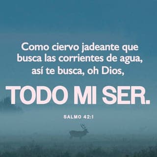 SALMOS 42:1-3 - Como el ciervo brama por las corrientes de las aguas,
Así clama por ti, oh Dios, el alma mía.
Mi alma tiene sed de Dios, del Dios vivo;
¿Cuándo vendré, y me presentaré delante de Dios?
Fueron mis lágrimas mi pan de día y de noche,
Mientras me dicen todos los días: ¿Dónde está tu Dios?