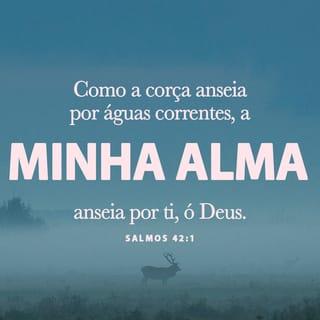 Salmos 42:1-11 - Assim como a corça suspira
pelas correntes das águas,
assim, por ti, ó Deus, suspira
a minha alma.
A minha alma tem sede de Deus,
do Deus vivo.
Quando irei e me apresentarei
diante da face de Deus?
As minhas lágrimas têm sido
o meu alimento dia e noite,
enquanto me dizem
continuamente:
“E o seu Deus, onde está?”

Lembro-me destas coisas —
e dentro de mim
se derrama a minha alma —,
de como eu passava
com a multidão de povo
e os guiava em procissão
à Casa de Deus,
entre gritos de alegria e louvor,
multidão em festa.

Por que você está abatida,
ó minha alma?
Por que se perturba
dentro de mim?
Espere em Deus,
pois ainda o louvarei,
a ele, meu auxílio
e Deus meu.

Sinto abatida dentro de mim
a minha alma;
lembro-me, portanto, de ti,
nas terras do Jordão, no Hermom,
e no monte Mizar.
Um abismo chama outro abismo,
ao ruído das tuas cachoeiras;
todas as tuas ondas e vagas
passaram sobre mim.
Contudo, o SENHOR, durante o dia,
me concede a sua misericórdia,
e de noite está comigo
o seu cântico,
uma oração
ao Deus da minha vida.

Pergunto a Deus, minha rocha:
“Por que te esqueceste de mim?
Por que hei de andar
eu lamentando
sob a opressão
dos meus inimigos?”
Os meus ossos se esmigalham,
quando os meus adversários
me insultam,
perguntando sem parar:
“E o seu Deus, onde está?”

Por que você está abatida,
ó minha alma?
Por que se perturba
dentro de mim?
Espere em Deus,
pois ainda o louvarei,
a ele, meu auxílio
e Deus meu.