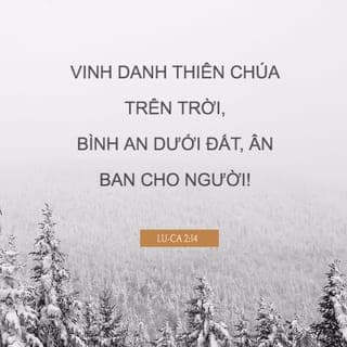 Lu-ca 2:13-16 - Bỗng nhiên, có muôn vàn thiên binh cùng với thiên sứ ấy ngợi ca Đức Chúa Trời rằng:
“Vinh danh Thiên Chúa trên trời,
Bình an dưới đất, ân ban cho người!”
Sau khi các thiên sứ lìa họ lên trời rồi, các người chăn chiên nói với nhau rằng: “Chúng ta hãy đi đến thành Bết-lê-hem xem việc đã xảy ra mà Chúa cho chúng ta biết.” Vậy, họ vội vàng đi đến đó, gặp Ma-ri, Giô-sép, và thấy con trẻ đang nằm trong máng cỏ.