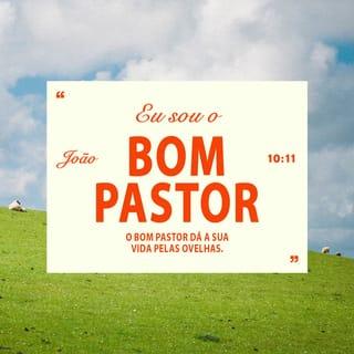 João 10:11 - — Eu sou o bom Pastor e o bom Pastor dá sua vida pelas ovelhas.