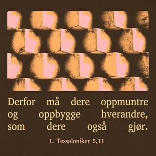 1 Tessaloniker 5:11 NB