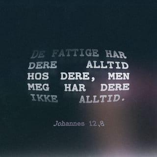 Johannes 12:8 NB