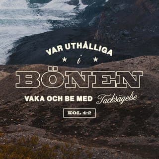 Kolosserbrevet 4:2-4 - Var uthålliga i bönen, vaka och be under tacksägelse. Be då också för oss att Gud öppnar en dörr för ordet, så att jag kan predika hemligheten med Kristus — det är för den jag är fängslad — och göra den känd och tala som jag bör.