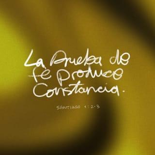 SANTIAGO 1:3 - Es señal de que su fe, al pasar por el crisol de la prueba, está dando frutos de perseverancia.