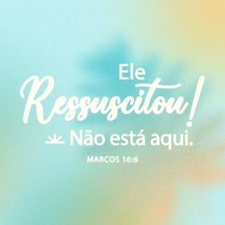 Marcos 16:6 NTLH
