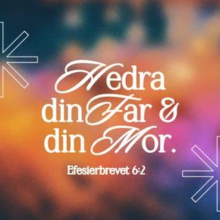 Efesierbrevet 6:2 - Hedra din far och din mor – detta är det första budet som har med sig ett löfte 