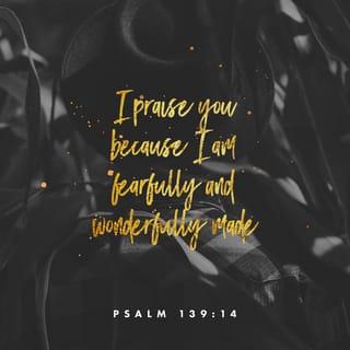 Psalms 139:14 - I will give thanks to you,
for I am fearfully and wonderfully made.
Your works are wonderful.
My soul knows that very well.