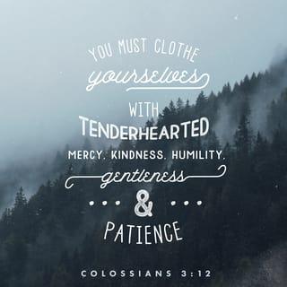 Colossians 3:12 - Therefore, as God’s chosen people, holy and dearly loved, clothe yourselves with compassion, kindness, humility, gentleness and patience.