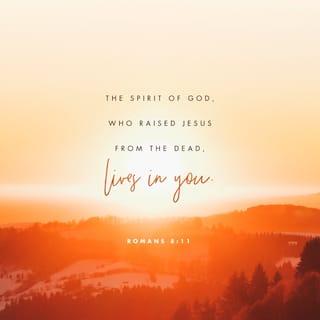 Romans 8:11-12 - And if the Spirit of him who raised Jesus from the dead lives in you, then he who raised Christ from the dead will also bring your mortal bodies to life through his Spirit who lives in you.

So then, brothers and sisters, we are not obligated to the flesh to live according to the flesh