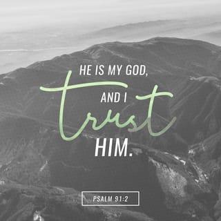 Psalms 91:2-3 - I will say of the LORD, “He is my refuge and my fortress;
My God, in Him I will trust.”
Surely He shall deliver you from the snare of the fowler
And from the perilous pestilence.