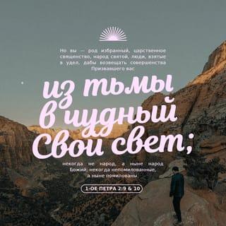 Первое послание Петра 2:9-25 - Но вы — род избранный, царственное священство, народ святой, люди, взятые в удел, дабы возвещать совершенства Призвавшего вас из тьмы в чудный Свой свет; некогда не народ, а ныне народ Божий; некогда непомилованные, а ныне помилованы. Возлюбленные! прошу вас, как пришельцев и странников, удаляться от плотских похотей, восстающих на душу, и провождать добродетельную жизнь между язычниками, дабы они за то, за что злословят вас, как злодеев, увидя добрые дела ваши, прославили Бога в день посещения. Итак будьте покорны всякому человеческому начальству, для Господа: царю ли, как верховной власти, правителям ли, как от него посылаемым для наказания преступников и для поощрения делающих добро, — ибо такова есть воля Божия, чтобы мы, делая добро, заграждали уста невежеству безумных людей, — как свободные, не как употребляющие свободу для прикрытия зла, но как рабы Божии. Всех почитайте, братство любите, Бога бойтесь, царя чтите.
Слуги, со всяким страхом повинуйтесь господам, не только добрым и кротким, но и суровым. Ибо то угодно Богу, если кто, помышляя о Боге, переносит скорби, страдая несправедливо. Ибо что за похвала, если вы терпите, когда вас бьют за проступки? Но если, делая добро и страдая, терпите, это угодно Богу. Ибо вы к тому призваны, || потому что и Христос пострадал за нас, оставив нам пример, дабы мы шли по следам Его. Он не сделал никакого греха, и не было лести в устах Его. Будучи злословим, Он не злословил взаимно; страдая, не угрожал, но предавал то Судии Праведному. Он грехи наши Сам вознес телом Своим на древо, дабы мы, избавившись от грехов, жили для правды: ранами Его вы исцелились. Ибо вы были, как овцы блуждающие (не имея пастыря), но возвратились ныне к Пастырю и Блюстителю душ ваших.