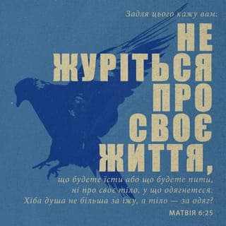 Вiд Матвiя 6:25-26 - Через те вам кажу: Не журіться про життя своє що будете їсти та що будете пити, ні про тіло своє, у що зодягнетеся. Чи ж не більше від їжі життя, а від одягу тіло?
Погляньте на птахів небесних, що не сіють, не жнуть, не збирають у клуні, та проте ваш Небесний Отець їх годує. Чи ж ви не багато вартніші за них?