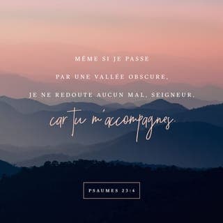 Psaumes 23:4-6 - Même si je traverse la sombre vallée de la mort,
je n’ai peur de rien, SEIGNEUR, car tu es avec moi.
Ton bâton de berger est près de moi, il me rassure.
Tu m’offres un bon repas sous les yeux de mes ennemis.
Tu verses sur ma tête de l’huile parfumée,
tu me donnes à boire en abondance.
Oui, tous les jours de ma vie,
ton amour m’accompagne, et je suis heureux.
Je reviendrai pour toujours dans la maison du SEIGNEUR.
