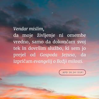 Acts 20:23-24 - save that the Holy Ghost witnesseth in every city, saying that bonds and afflictions abide me. But none of these things move me, neither count I my life dear unto myself, so that I might finish my course with joy, and the ministry, which I have received of the Lord Jesus, to testify the gospel of the grace of God.
