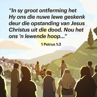 1 PETRUS 1:3 AFR83
