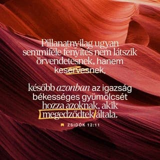 A zsidókhoz írt levél 12:11 - A fegyelmezés, meg a fenyítés egyáltalán nem kellemes, amikor el kell szenvednünk, inkább fájdalmas és szomorúságot okoz! Később mégis igazságosságot és békességet eredményez annak az életében, aki a fegyelmezés által megedződött.