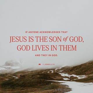 1 John 4:15-16 - If anyone acknowledges that Jesus is the Son of God, God lives in them and they in God. And so we know and rely on the love God has for us.
God is love. Whoever lives in love lives in God, and God in them.