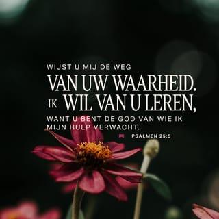 Psalmen 25:5-7 - Wijst U mij de weg van uw waarheid.
Ik wil van U leren, want U bent de God
van wie ik mijn hulp verwacht.
Op U vestig ik mijn hoop, elke dag van mijn leven.
Wilt U naar mij kijken
met ogen vol genade en vergeving,
met eeuwige liefde en vriendelijkheid?
Wilt U voorbijgaan aan de zonden
die ik in mijn jeugd begaan heb, HERE!