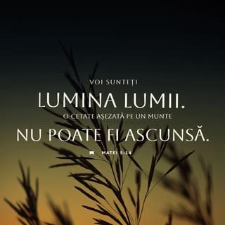 Matthew 5:13-15 - “You are the salt of the earth. But if the salt loses its saltiness, how can it be made salty again? It is no longer good for anything, except to be thrown out and trampled underfoot.
“You are the light of the world. A town built on a hill cannot be hidden. Neither do people light a lamp and put it under a bowl. Instead they put it on its stand, and it gives light to everyone in the house.