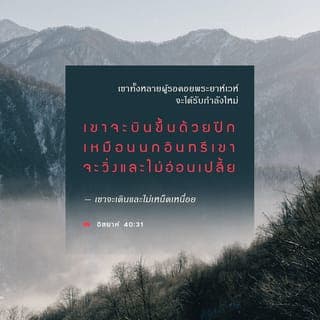 หนังสืออิสยาห์ 40:30-31 - แม้คนหนุ่มๆจะอ่อนเปลี้ยและเหน็ดเหนื่อย และชายฉกรรจ์จะล้มลงทีเดียว แต่เขาทั้งหลายผู้รอคอยพระเยโฮวาห์จะเสริมเรี่ยวแรงใหม่ เขาจะบินขึ้นด้วยปีกเหมือนนกอินทรี เขาจะวิ่งและไม่เหน็ดเหนื่อย เขาจะเดินและไม่อ่อนเปลี้ย