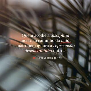 Provérbios 10:17 - Quem acolhe a disciplina anda rumo à vida,
mas quem ignora a repreensão desencaminha outros.