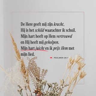 Psalmen 28:6-7 - Ik loof de Here, want Hij heeft mijn luide smeekbeden gehoord. De Here geeft mij zijn kracht, Hij is het schild waarachter ik schuil. Mijn hart heeft op Hem vertrouwd en Hij heeft mij geholpen. Mijn hart juicht en ik prijs Hem met mijn lied.