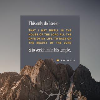 Psalms 27:4 - One thing I have asked from the LORD, that I shall seek:
That I may dwell in the house of the LORD all the days of my life,
To behold the beauty of the LORD
And to meditate in His temple.