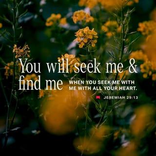 Jeremiah 29:13 - When you look for me, you will find me. Yes, when you seek me with all your heart