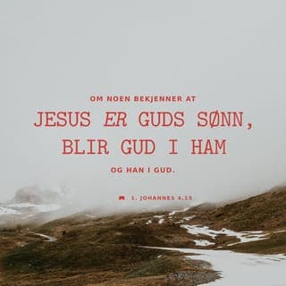Første Johannesbrev 4:14-16 - Vi er vitner til at Gud har sendt sin Sønn som frelser til verden. Alle som tror at Jesus er Guds Sønn, vil ta imot Gud i sitt indre og bli omsluttet av Gud. Vi har møtt Guds kjærlighet og derfor begynte vi å tro på kjærligheten. Gud er kjærlighet, og den som holder seg til Gud, vil oppleve denne kjærligheten, og Gud vil være med ham.