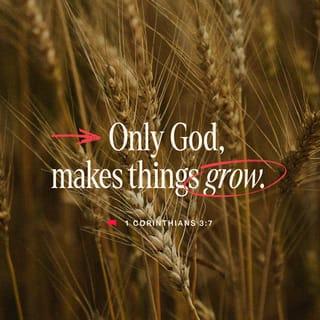 1 Corinthians 3:7 - It’s not important who does the planting, or who does the watering. What’s important is that God makes the seed grow.