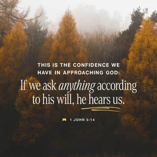 1 John 5:14-15 - And this is the confidence that we have toward him, that if we ask anything according to his will he hears us. And if we know that he hears us in whatever we ask, we know that we have the requests that we have asked of him.