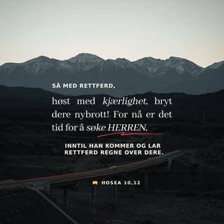Hosea 10:12 NB