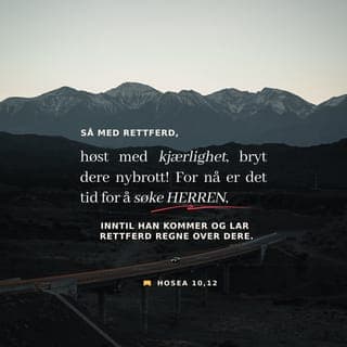 Hosea 10:10-12 - Når Jeg vil, skal Jeg straffe dem. Folkene skal samle seg mot dem når Jeg binder dem fast for sine synder. Efraim er som en temmet okse som elsker å treske. Men Jeg la det tunge arbeidsredskapet over den vakre nakken hennes. Jeg skal gjøre Efraim klar til arbeid. Juda skal pløye. Jakob skal harve. Så rettferdighet! Høst frukt som bringer godhet og barmhjertighet! Pløy opp nytt land! For nå er tiden inne for å søke Herren. Det er det inntil Han kommer og lar rettferdighet regne over dere.